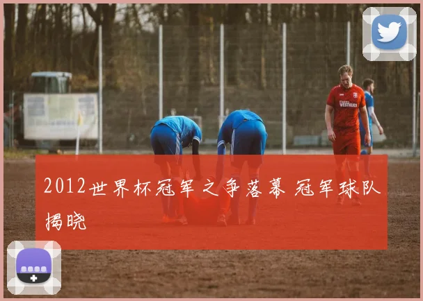 2012世界杯冠军之争落幕 冠军球队揭晓