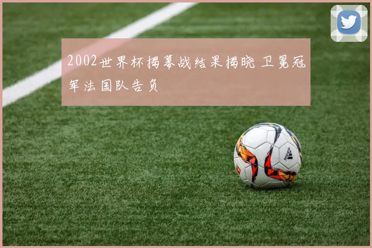 2002世界杯揭幕战结果揭晓 卫冕冠军法国队告负