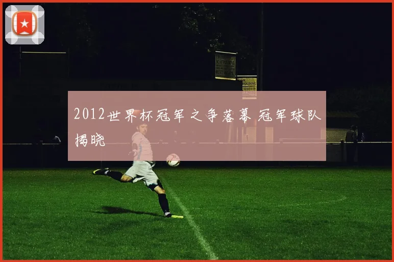 2012世界杯冠军之争落幕 冠军球队揭晓