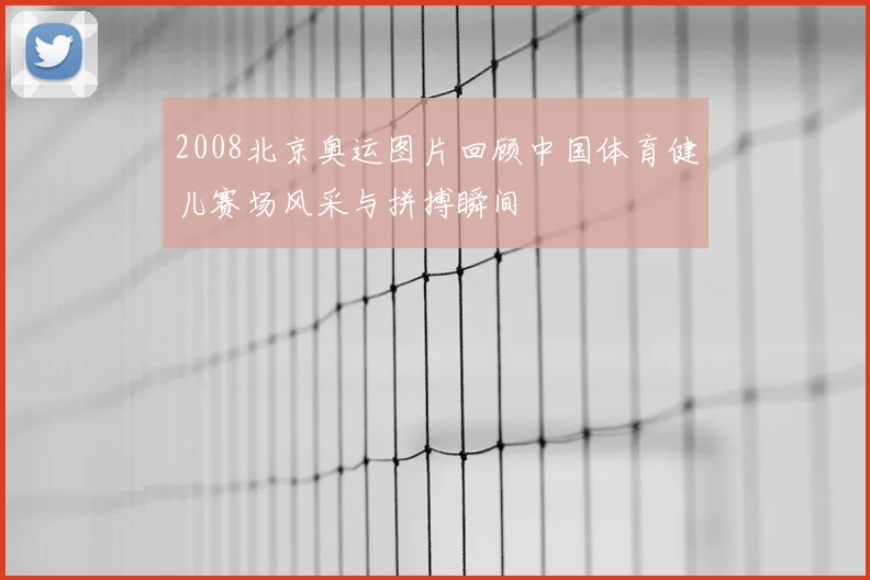 2008北京奥运图片回顾中国体育健儿赛场风采与拼搏瞬间