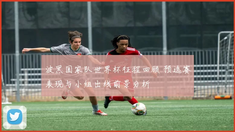 波黑国家队世界杯征程回顾 预选赛表现与小组出线前景分析