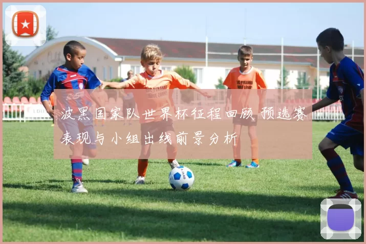 波黑国家队世界杯征程回顾 预选赛表现与小组出线前景分析