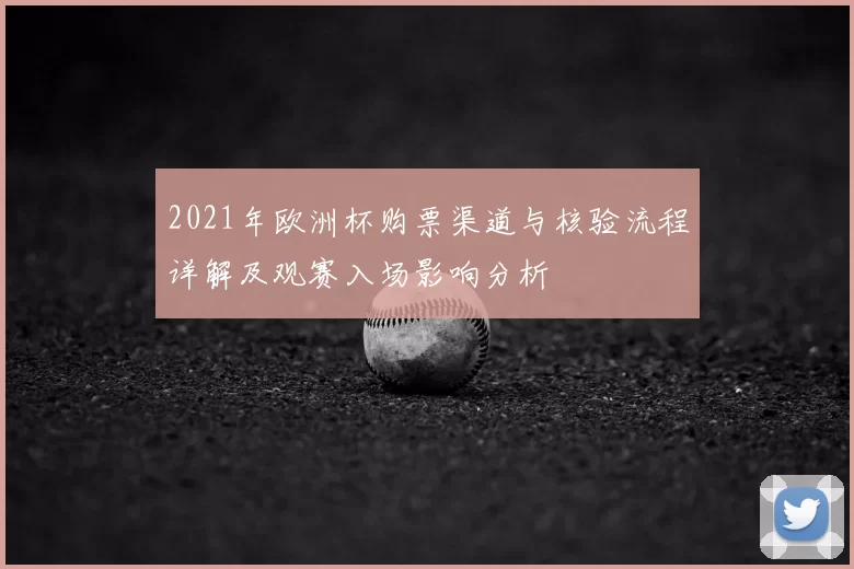 2021年欧洲杯购票渠道与核验流程详解及观赛入场影响分析