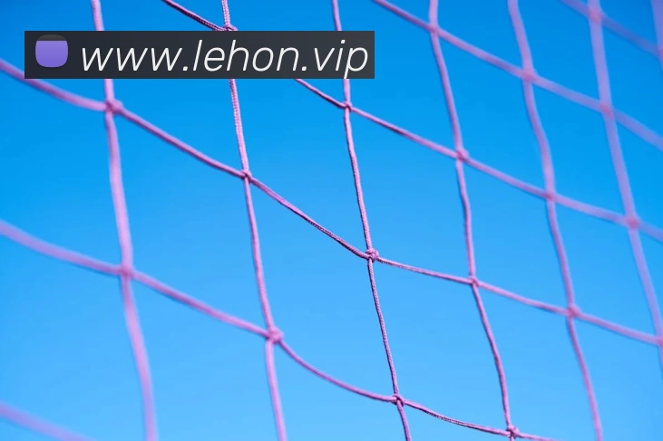 九游j9官网网页版入口品牌故事